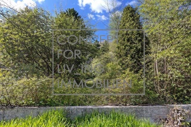Idyllic 700 m² building plot at Sophienalpe in south facing position |pure_living