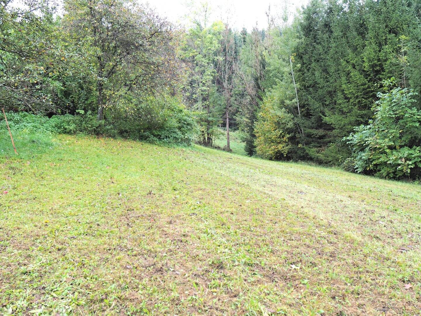 WUNDERBARER, SONNIGER Baugrund in WARTBERG zu VERKAUFEN!