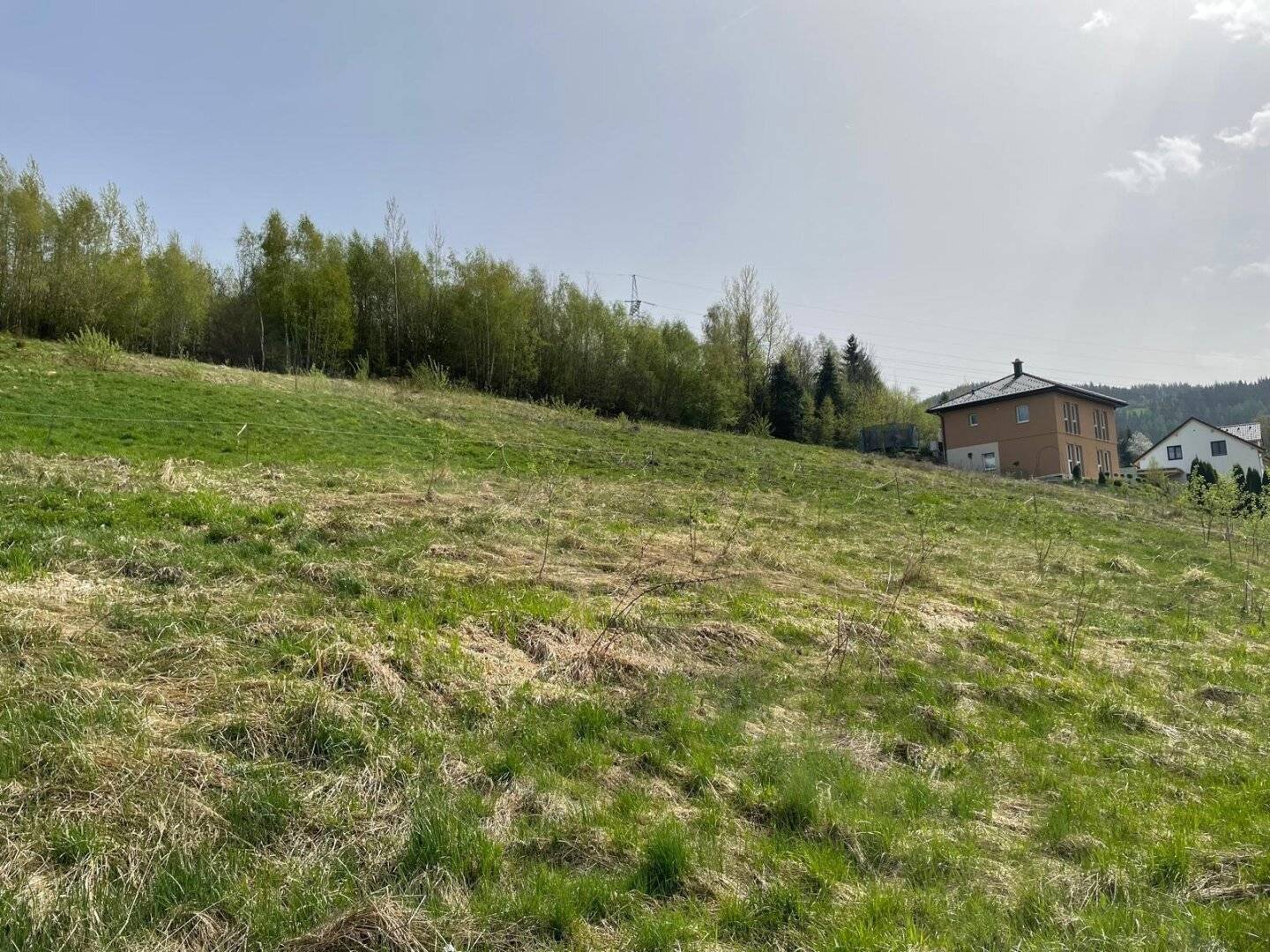BAUGRUNDSTÜCK in WARTBERG zu verkaufen