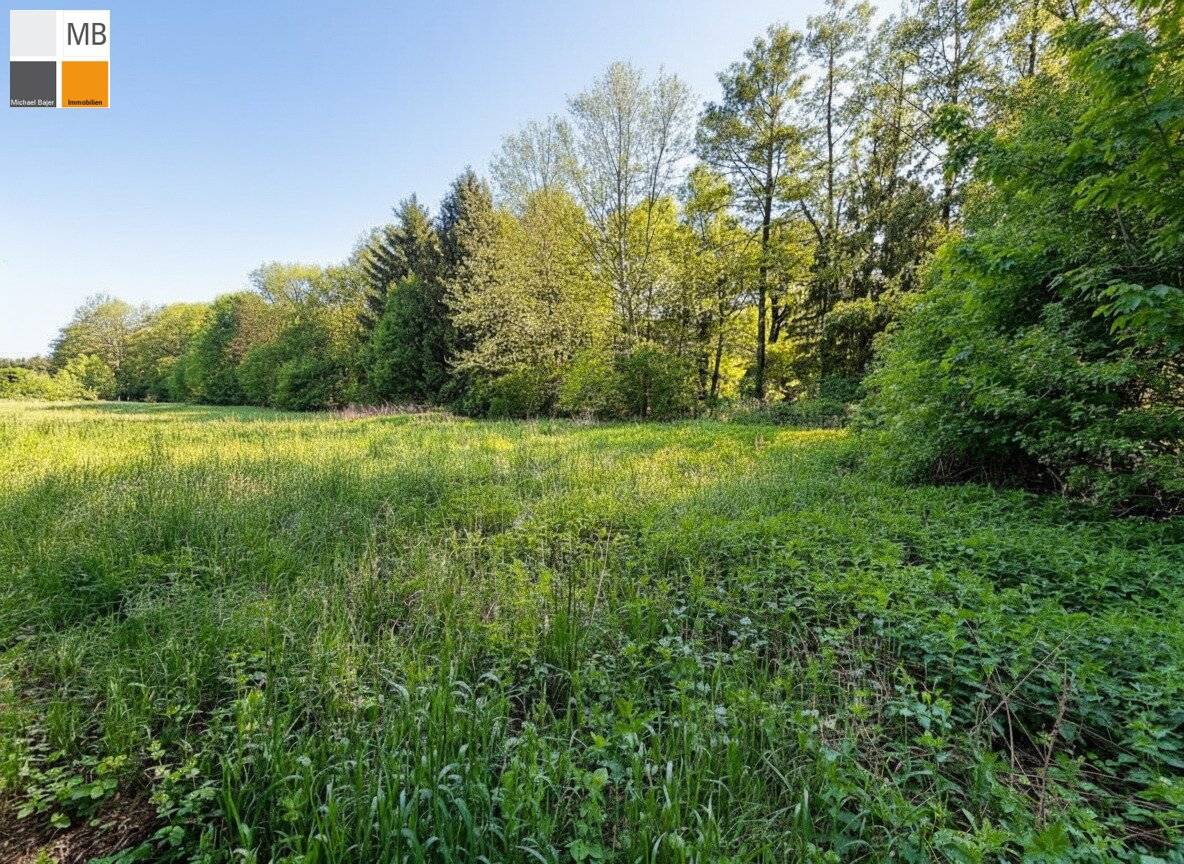 ++ Ihr Platz an der Sonne: Großes Südgrundstück bei Baden mit viel Privatsphäre I MB IMMOBILIEN ++