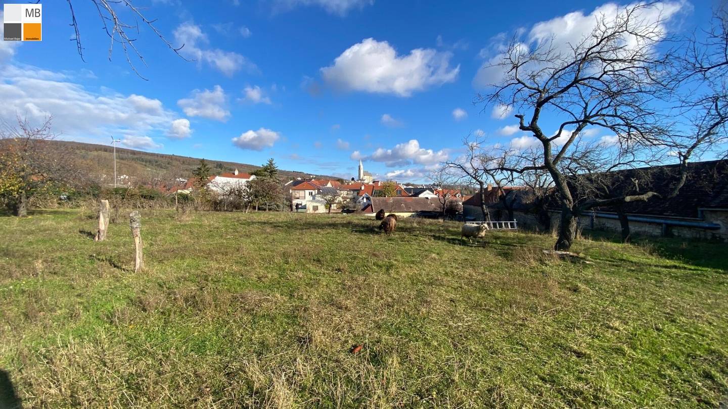 ++ Streckhof in schöner zentraler Südlage von Eisenstadt I MB IMMOBILIEN ++