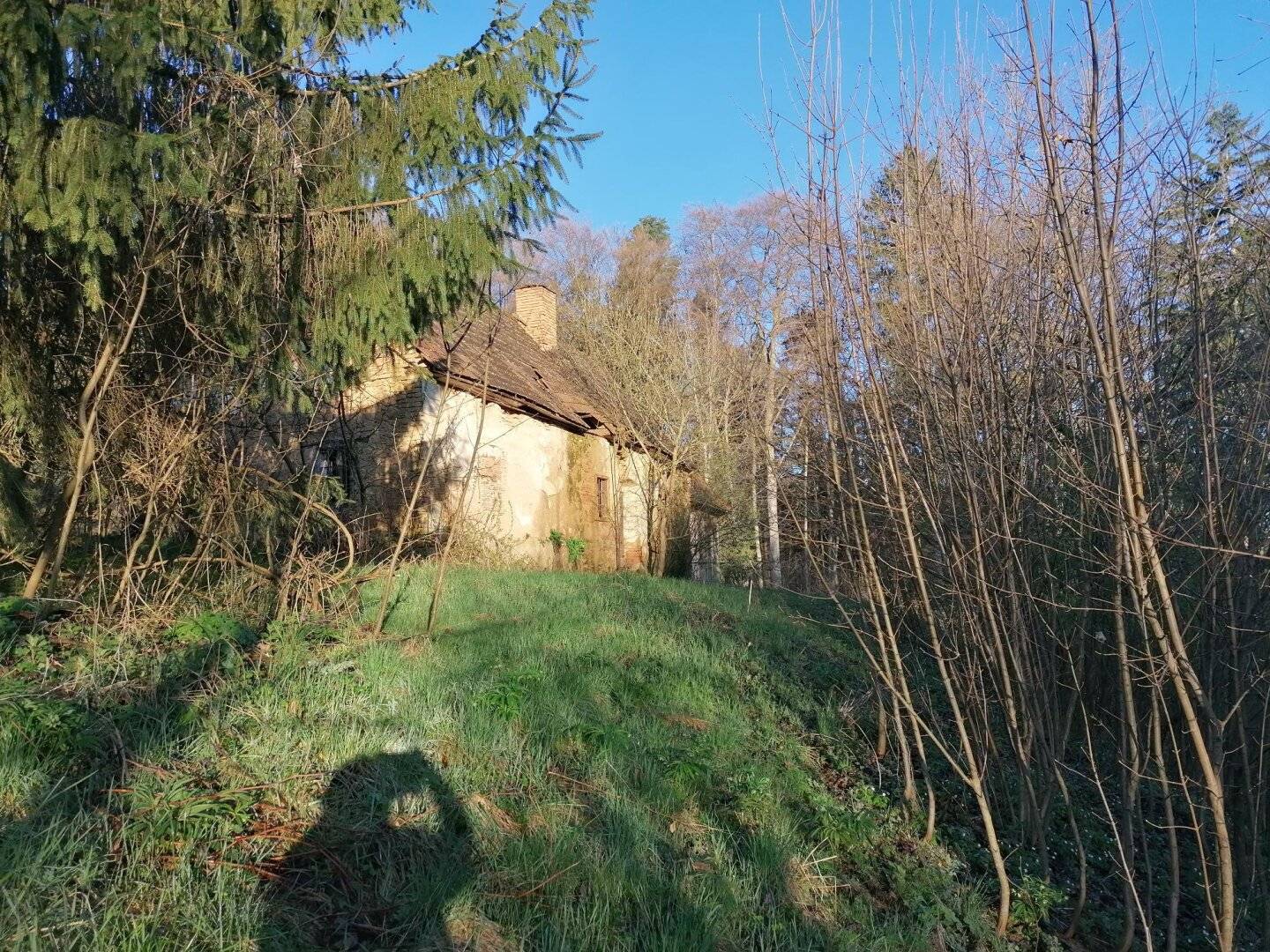 Altbestand - Wohnhaus mit Lagerräumen und Wirtschaftsgebäude