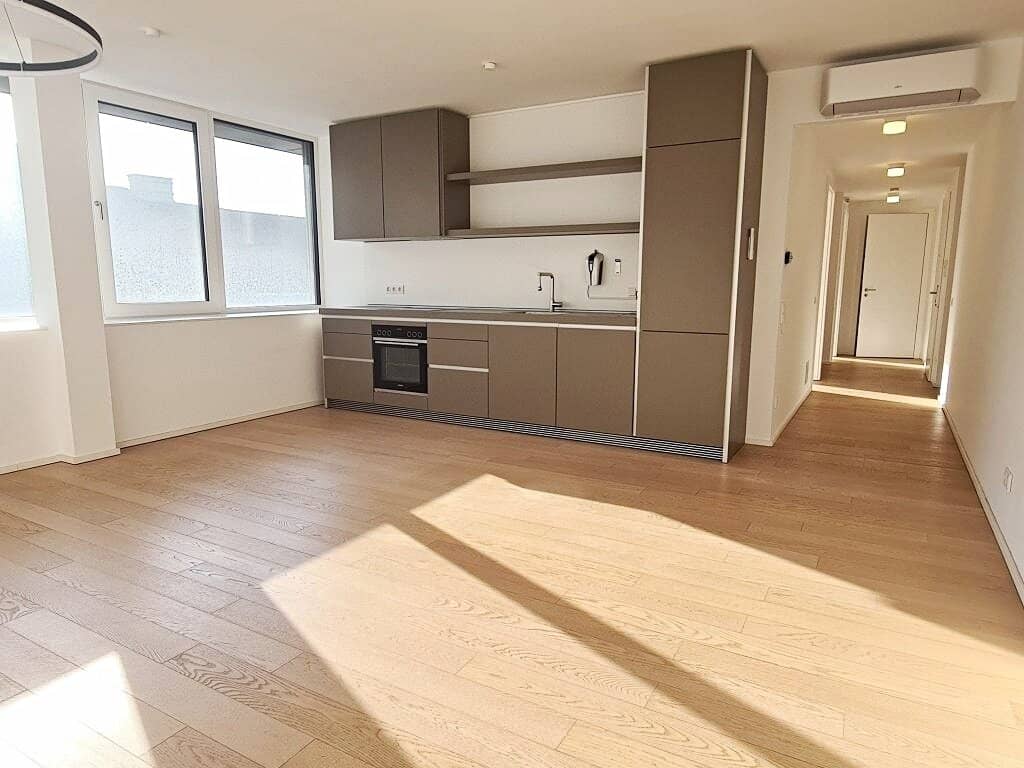 ATTIC, air-conditioned 82 m2 new build, 2 rooms, living kitchen, bathtub, parquet, near main station, Argentinierstraße