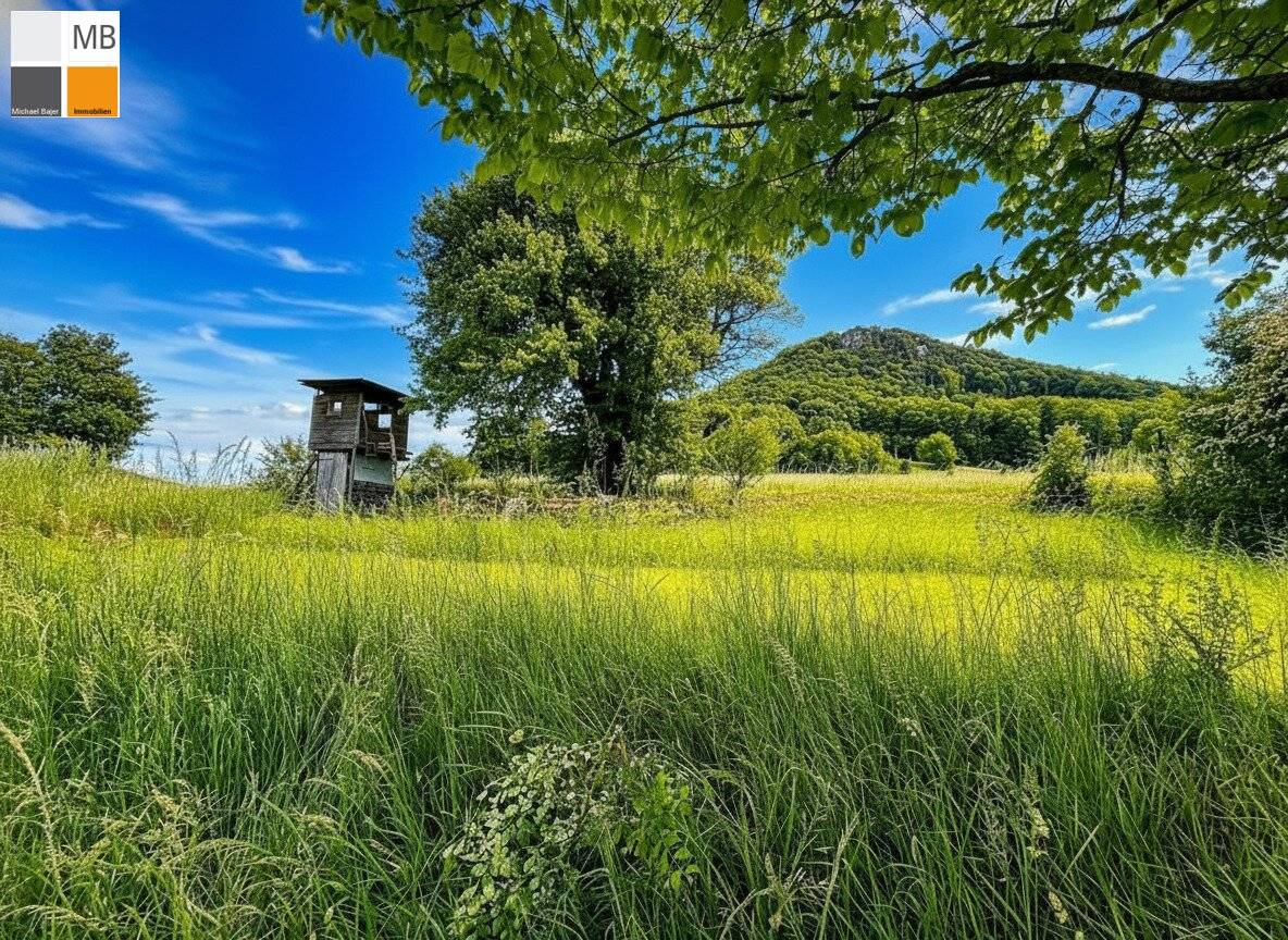 Nature, Sun &amp; Pool – Your Retreat in Wienerwald I MB IMMOBILIEN