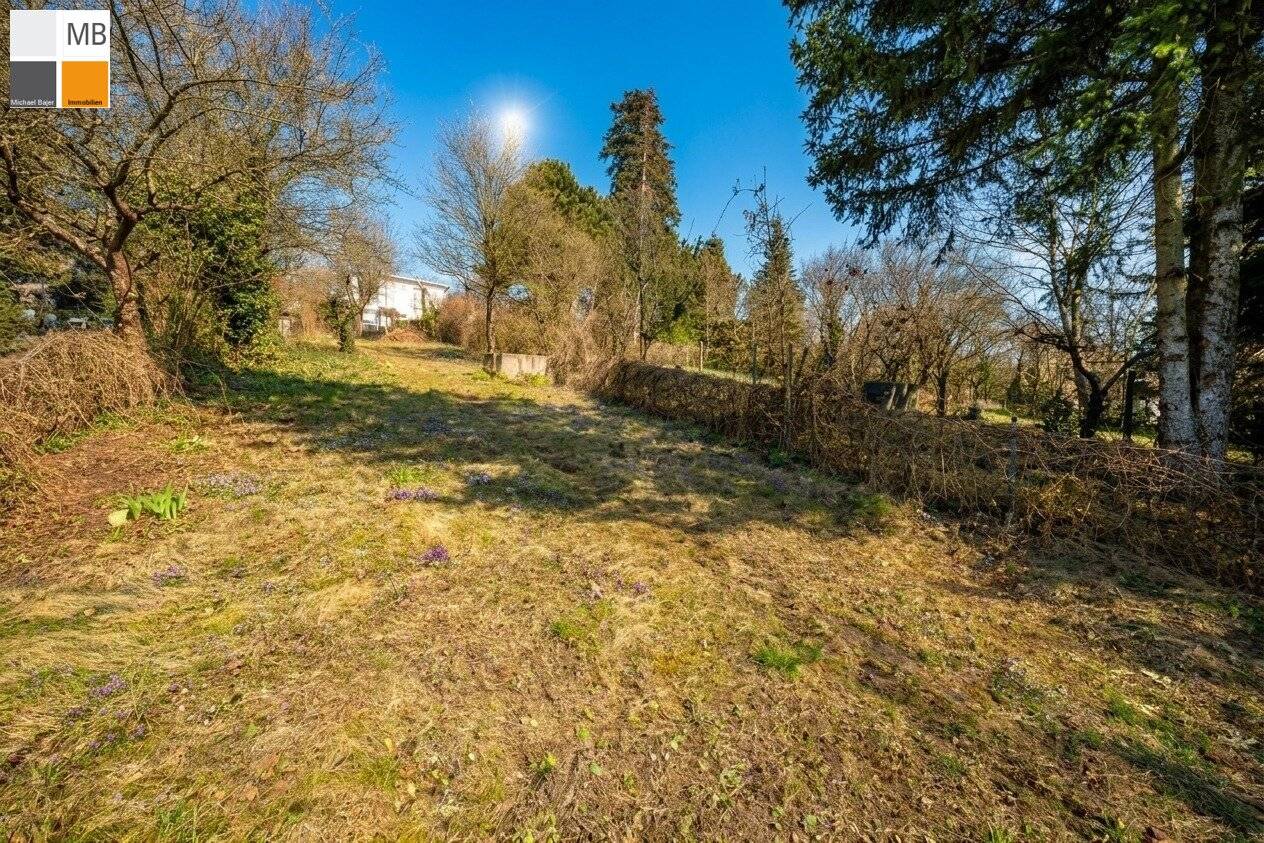 ++ 📍 Exklusive Wohnlage: Wolfersberg! I MB IMMOBILIEN ++