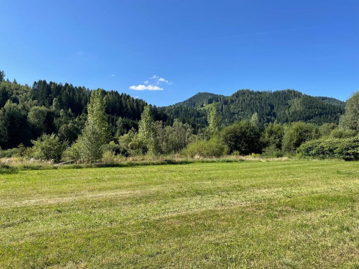 Traumhaftes Grundstück in Stanz im Mürztal – 7840 m² Bauland