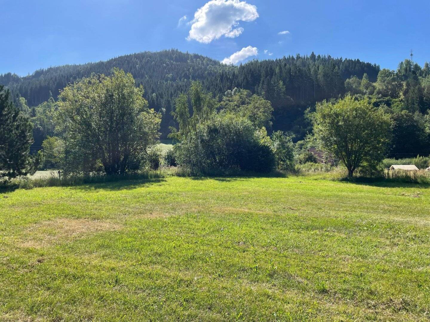 Traumhaftes Grundstück in Stanz im Mürztal – 7840 m² Bauland