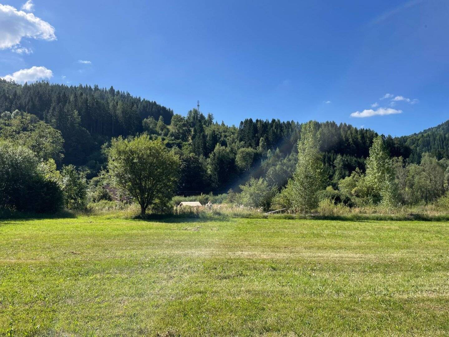 Traumhaftes Grundstück in Stanz im Mürztal – 7840 m² Bauland