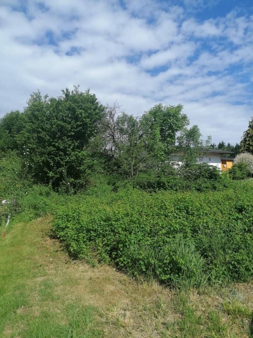 Building plot in a sunny hillside location ideal for weekend cottage