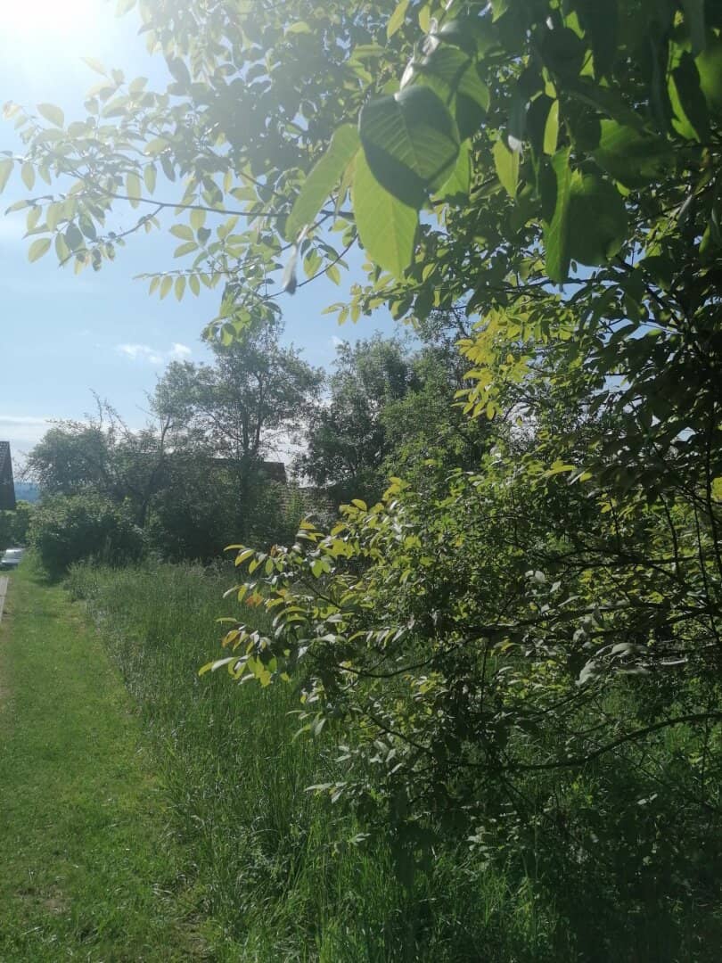 Building plot in a sunny hillside location ideal for weekend cottage