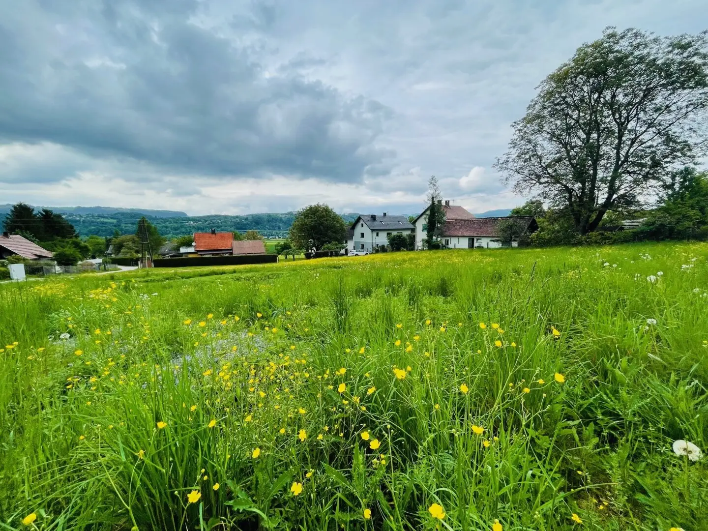 Quiet country living at the forest edge near Ferlach and Klagenfurt