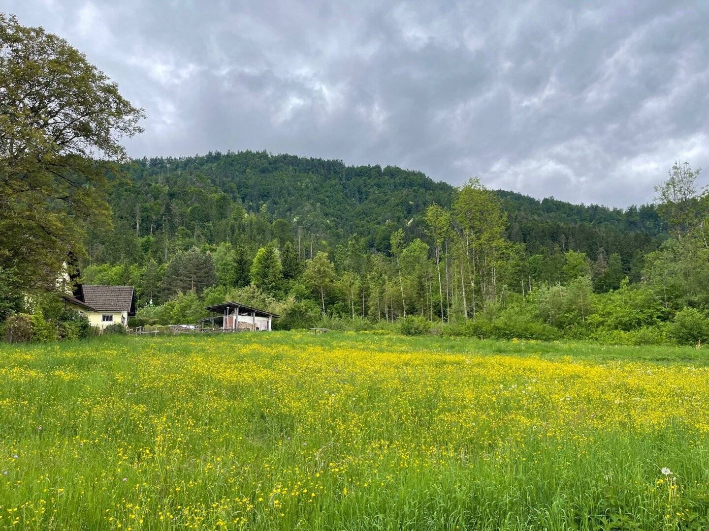 Ruhiges Landleben - Waldrand - Nähe Ferlach und Klagenfurt!