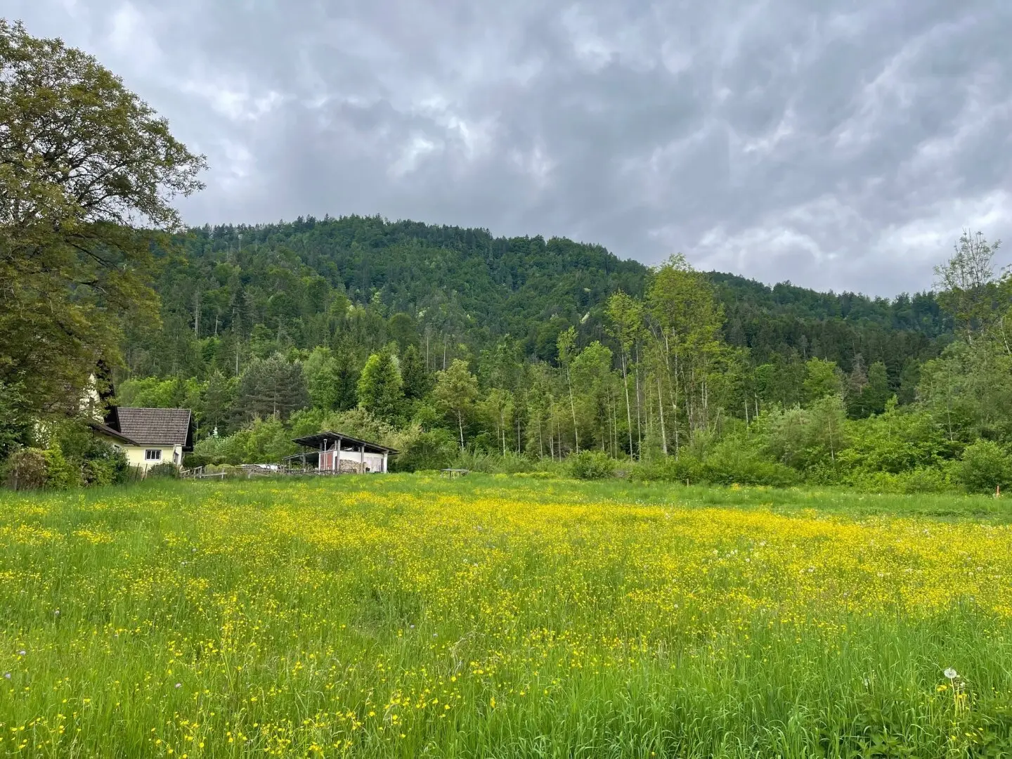 Quiet country living at the forest edge near Ferlach and Klagenfurt