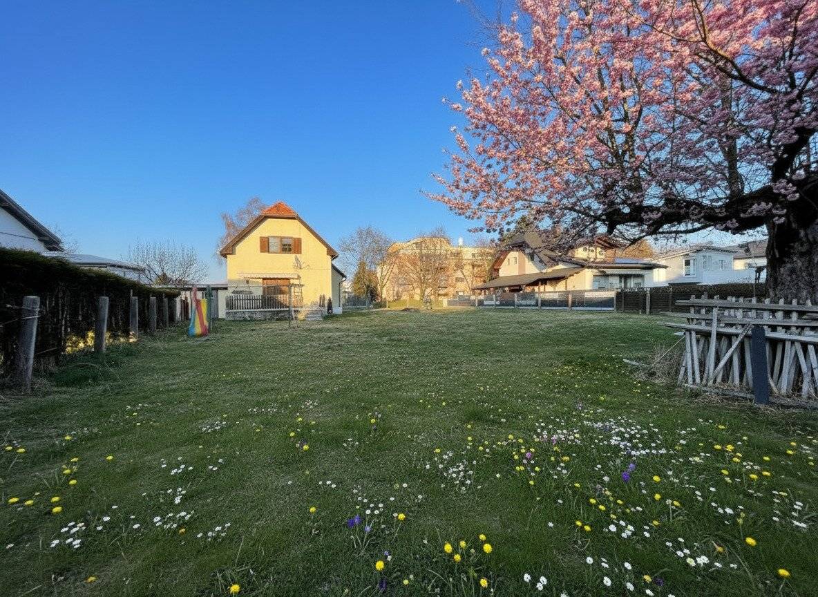 Sunny plot near the center, your place for new ideas