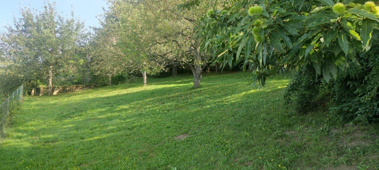 Sonniges Baugrundstück in Moosburg, Kärnten – 877 m² für Ihre Wohnträume!