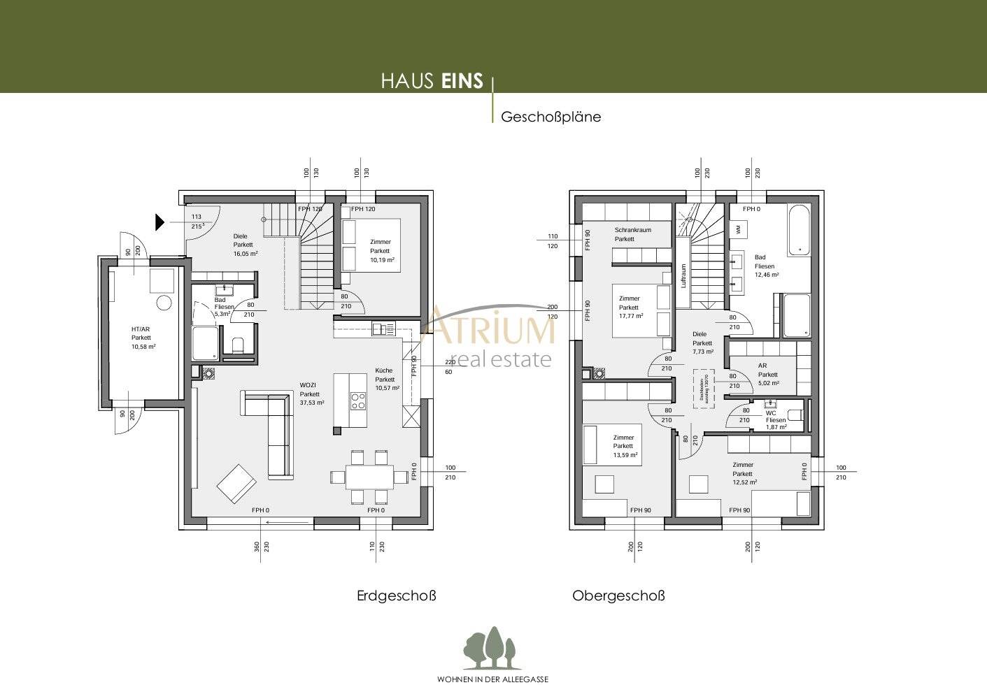 Grundriss 1