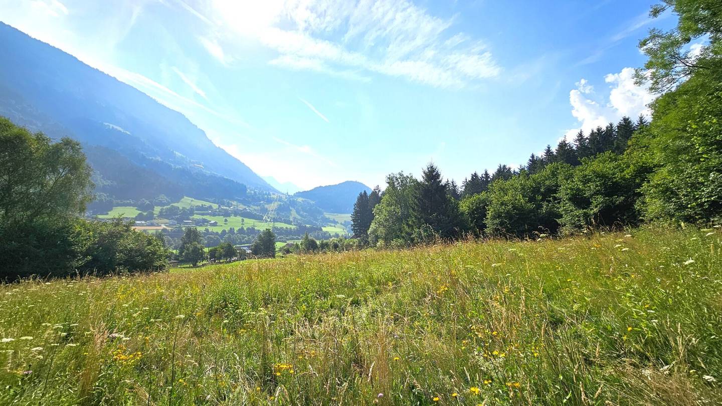 1 Grundstück - Ihr neues Zuhause in einer malerischen Lage in Penk. Ideal auch für Tierhaltung/Landwirtschaft.
