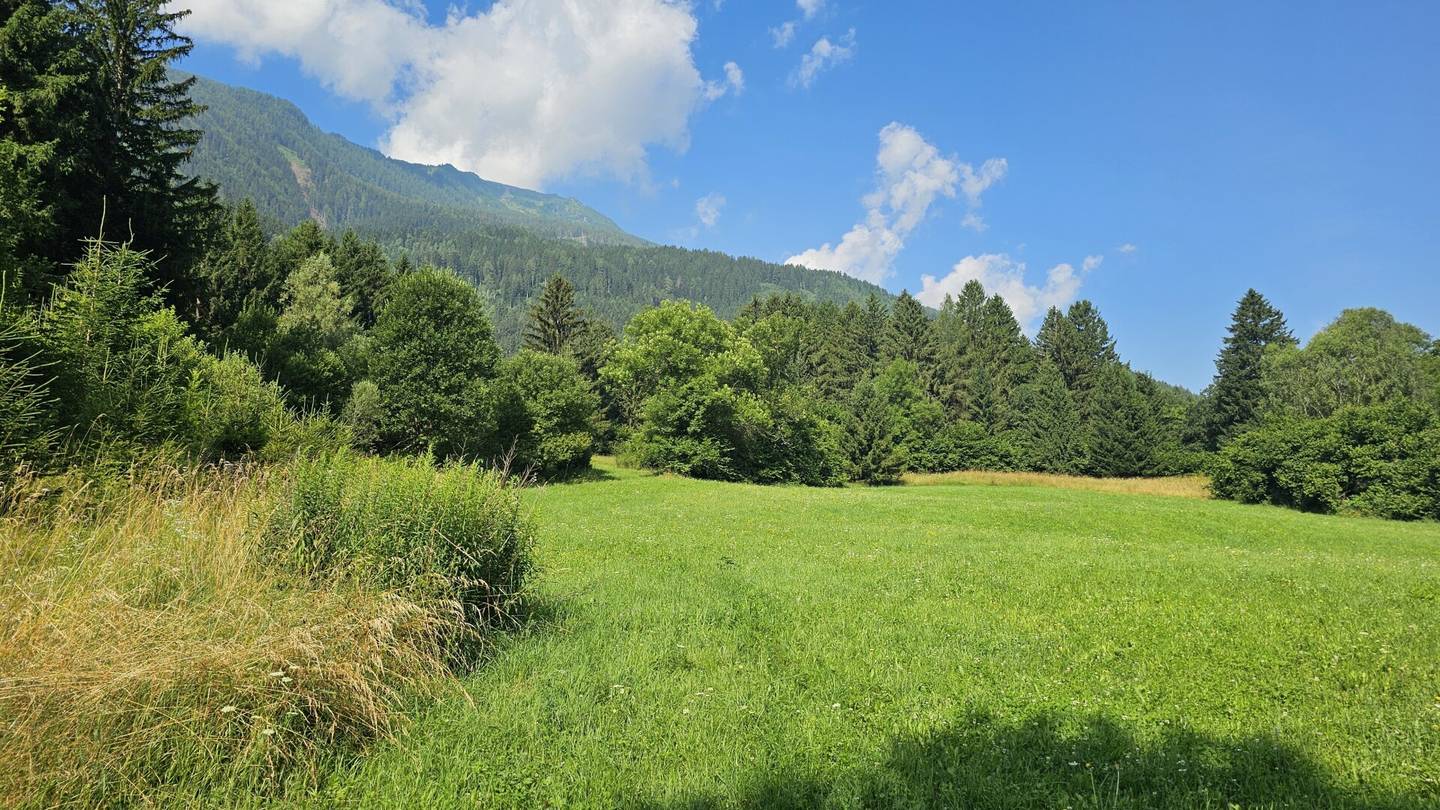 1 Grundstück - Ihr neues Zuhause in einer malerischen Lage in Penk. Ideal auch für Tierhaltung/Landwirtschaft.