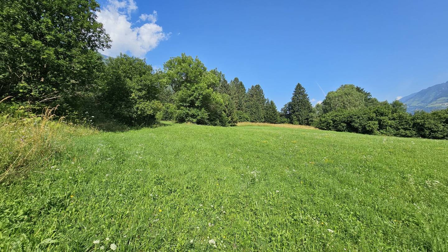 2 Grundstücke in Penk - Wohnen und Landwirtschaft vereinen. Idyllische Lage in Penk.