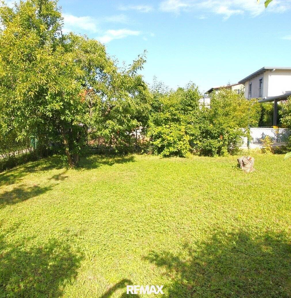 Sunny allotment garden house owned in 1230 Vienna, absolute quiet location