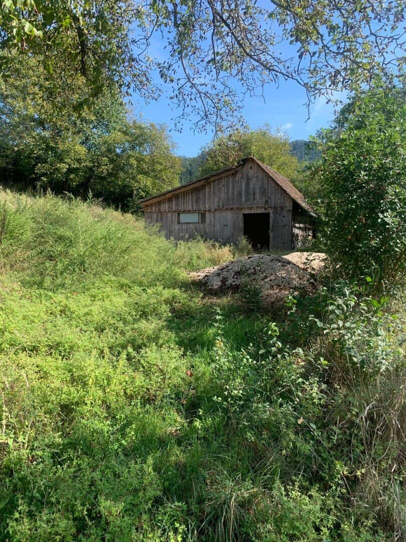 2,7 Ha Land- und Forstw. -Grundstück  für nur € 9,22 pro Qm, zzt Pferde Weide mit Stall & Quelle,  in traumhafter Lage in Kärnten -  für 249.000,00 € zu haben!