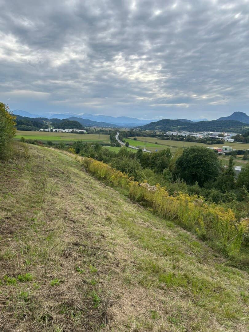 2,7 Ha Land- und Forstw. -Grundstück  für nur € 9,22 pro Qm, zzt Pferde Weide mit Stall & Quelle,  in traumhafter Lage in Kärnten -  für 249.000,00 € zu haben!