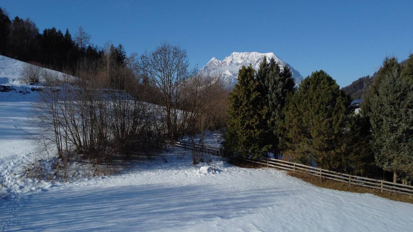 Immobilienbild 2