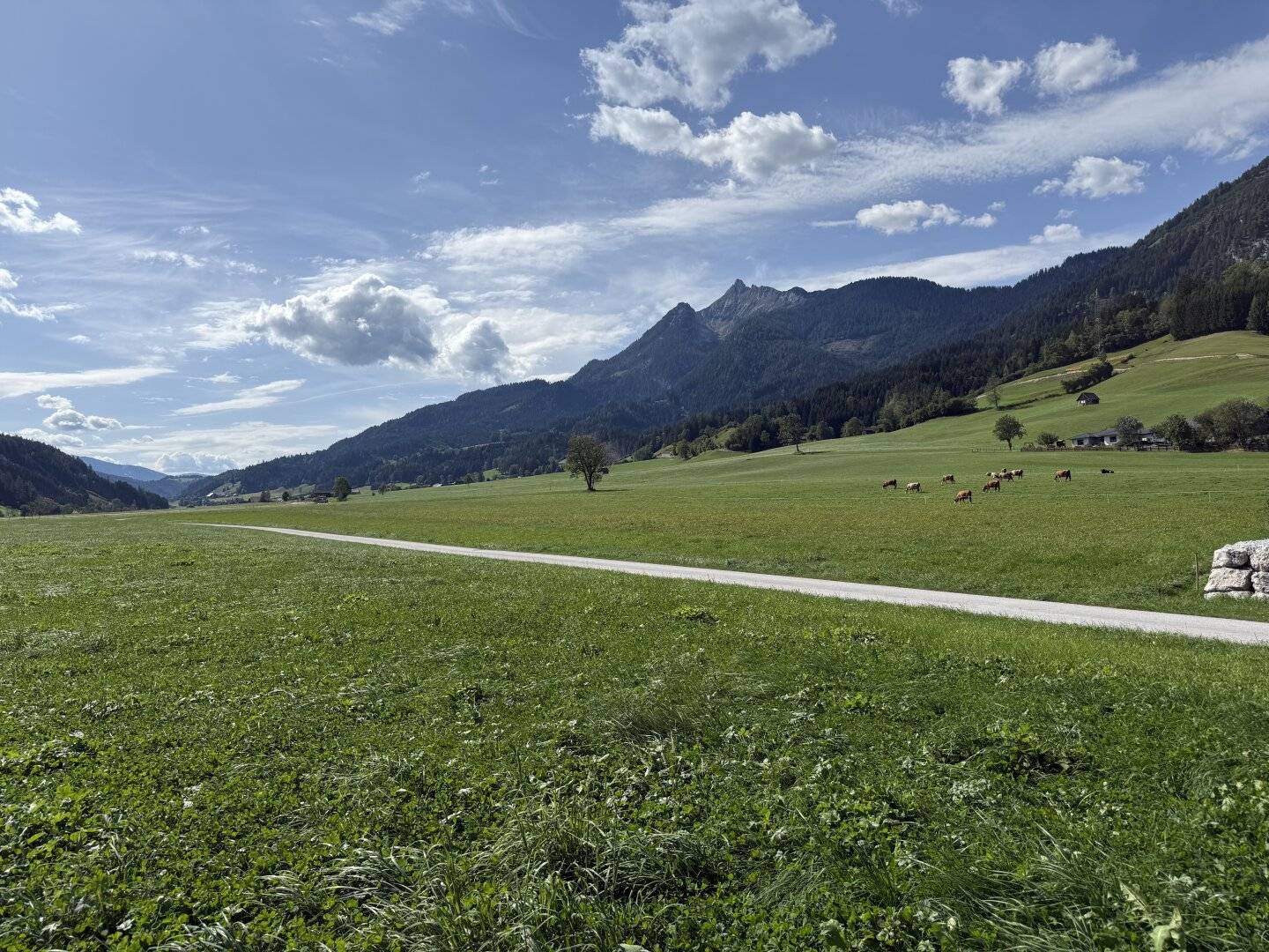 Building plot near Schladming