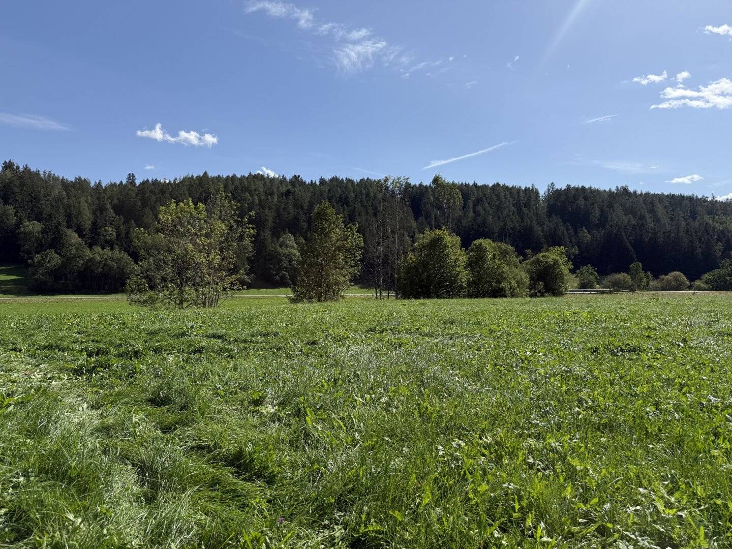 Building plot near Schladming