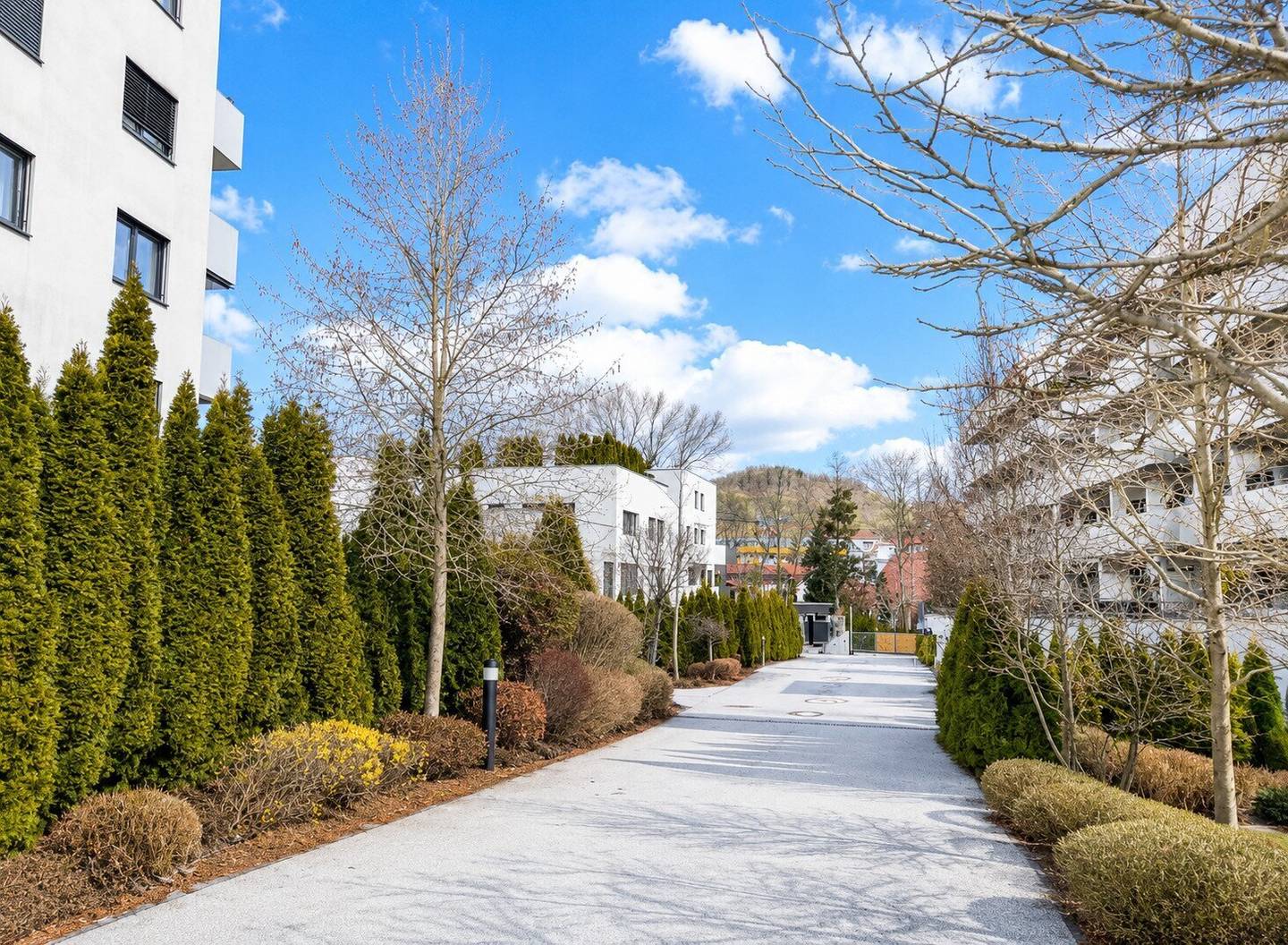 Attention investors Temporarily rented 3 room apartment with balcony
