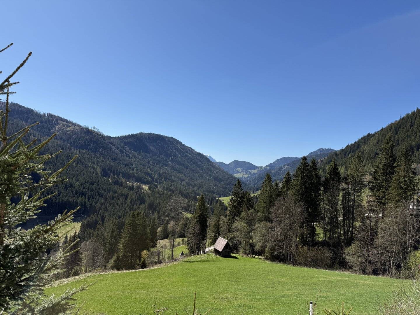 Rückzugsort mit Mehrwert: Charmantes Eigenheim mit Wellness-Oase, Remise und exklusivem Trainingsbereich für Sportschützen