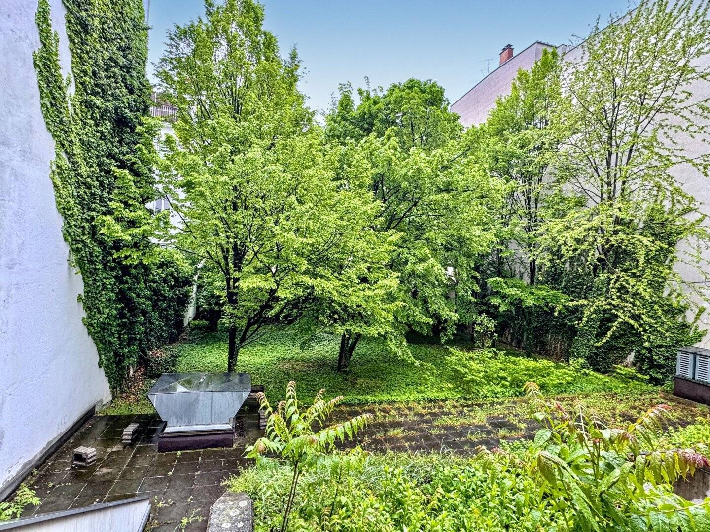 Barrier free accessible 150 m² office with green view near Mariahilferstraße