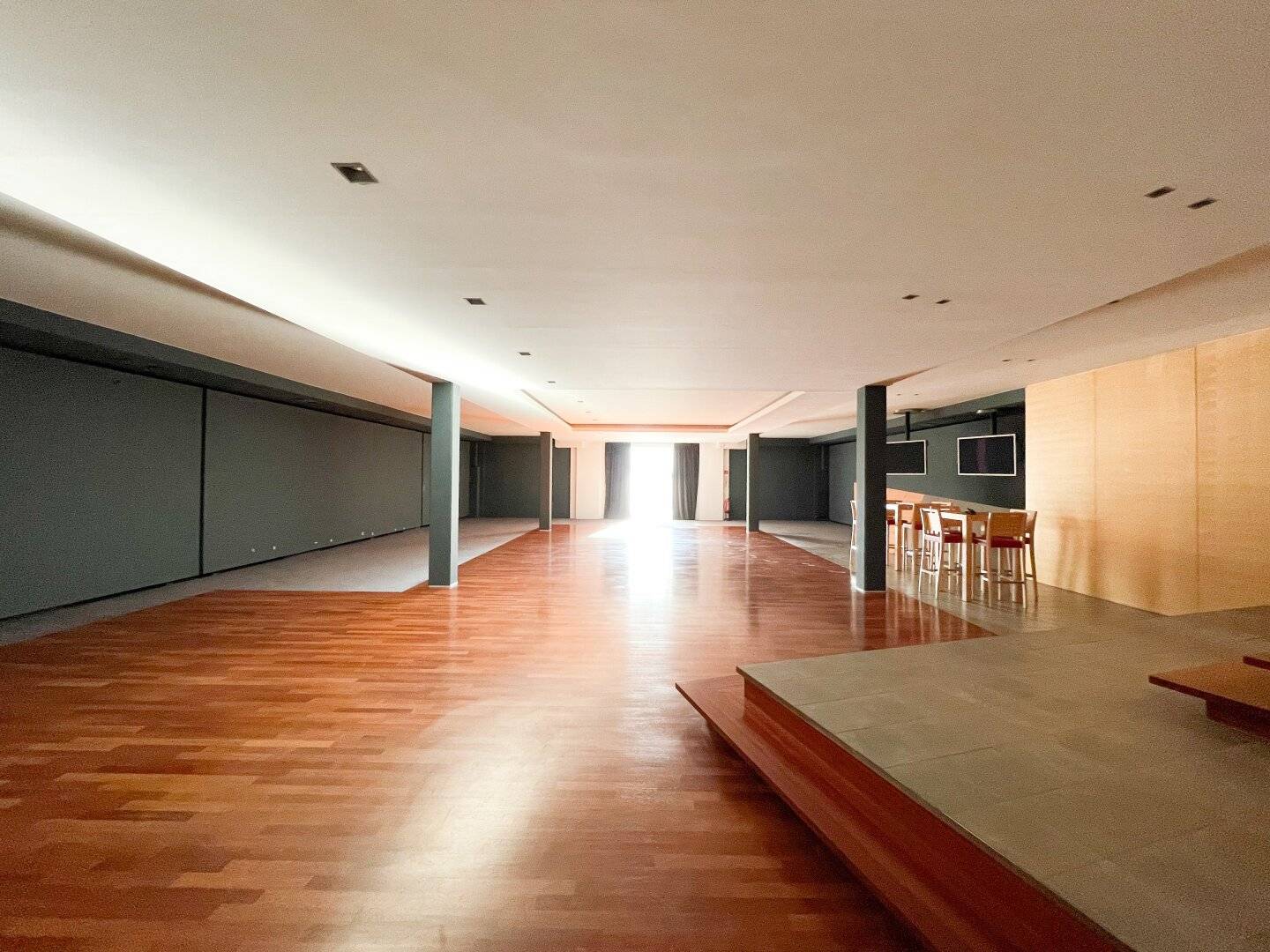 Generous commercial premises 608 m² with terrace and top equipment in 1190 Vienna
