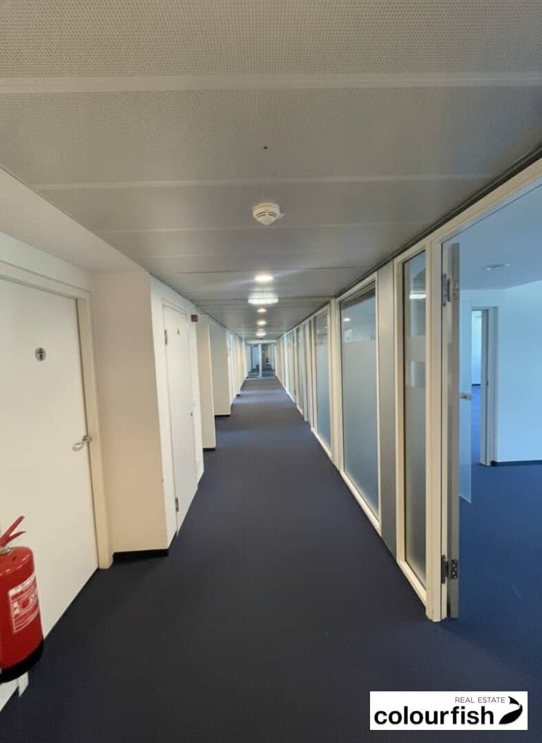 Modernes Büro beim Karlsplatz