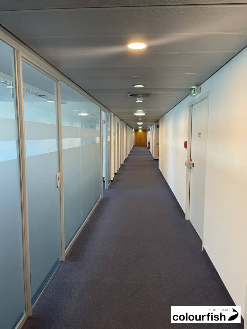 OC 4 Bürohaus - modernes Arbeiten auf 246 m² I 555 m² I 1.022 m² I 1.270 m²