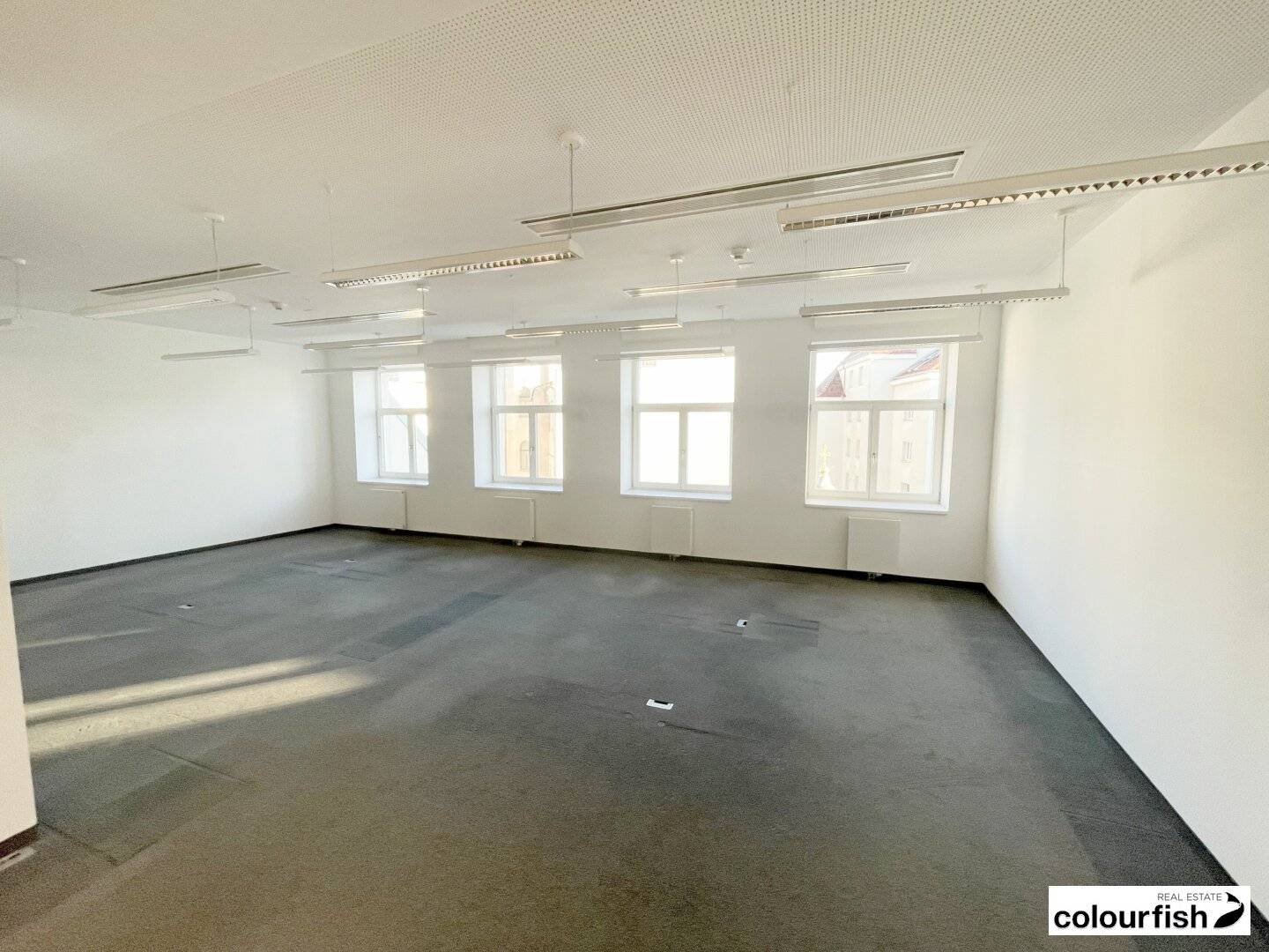 Spacious modern office space near Rotenturmstraße
