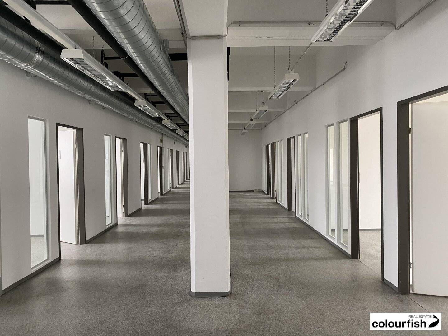 Generous space on Hainburger Straße