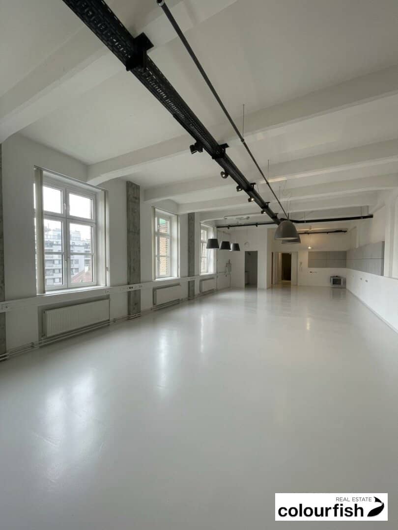 Partly furnished loft office near Matzleinsdorfer Platz with a small balcony