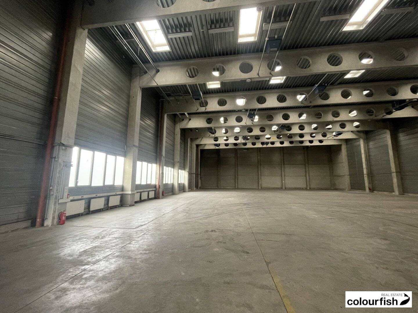 Spacious warehouse hall with 9 meter ceiling height and de:migration not allowed? oh wait