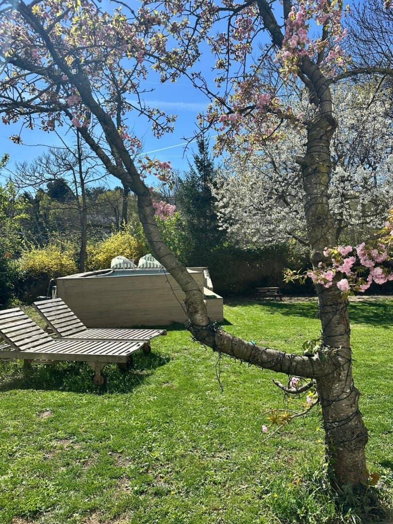 Exklusive und Top sanierte Gartenwohnung