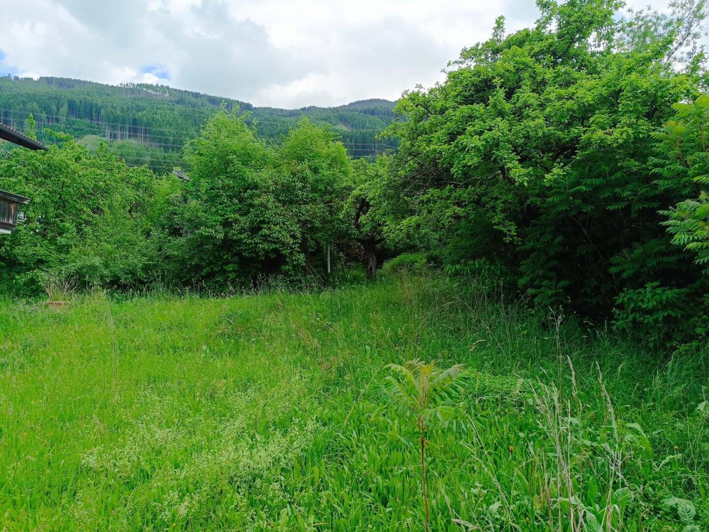 Great opportunity: Two-family house ideal also for practice in Rinn with 1800 m² plot