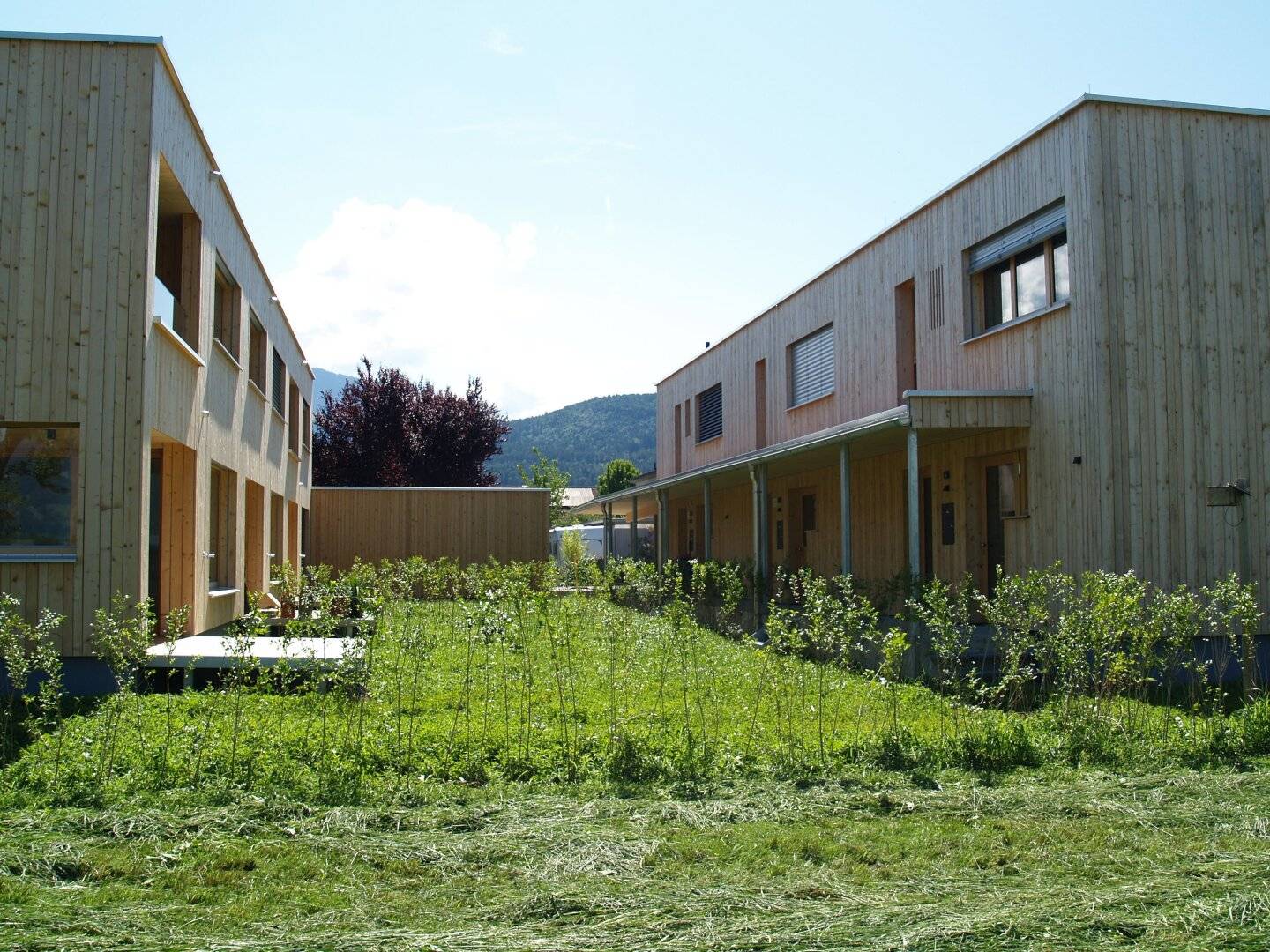 Neubau - Vollholz, 5 Zimmer Wohnung in Feldkirch Gisingen und eigenem Kellerzugang und Garten, Bezug kurzfristig möglich.