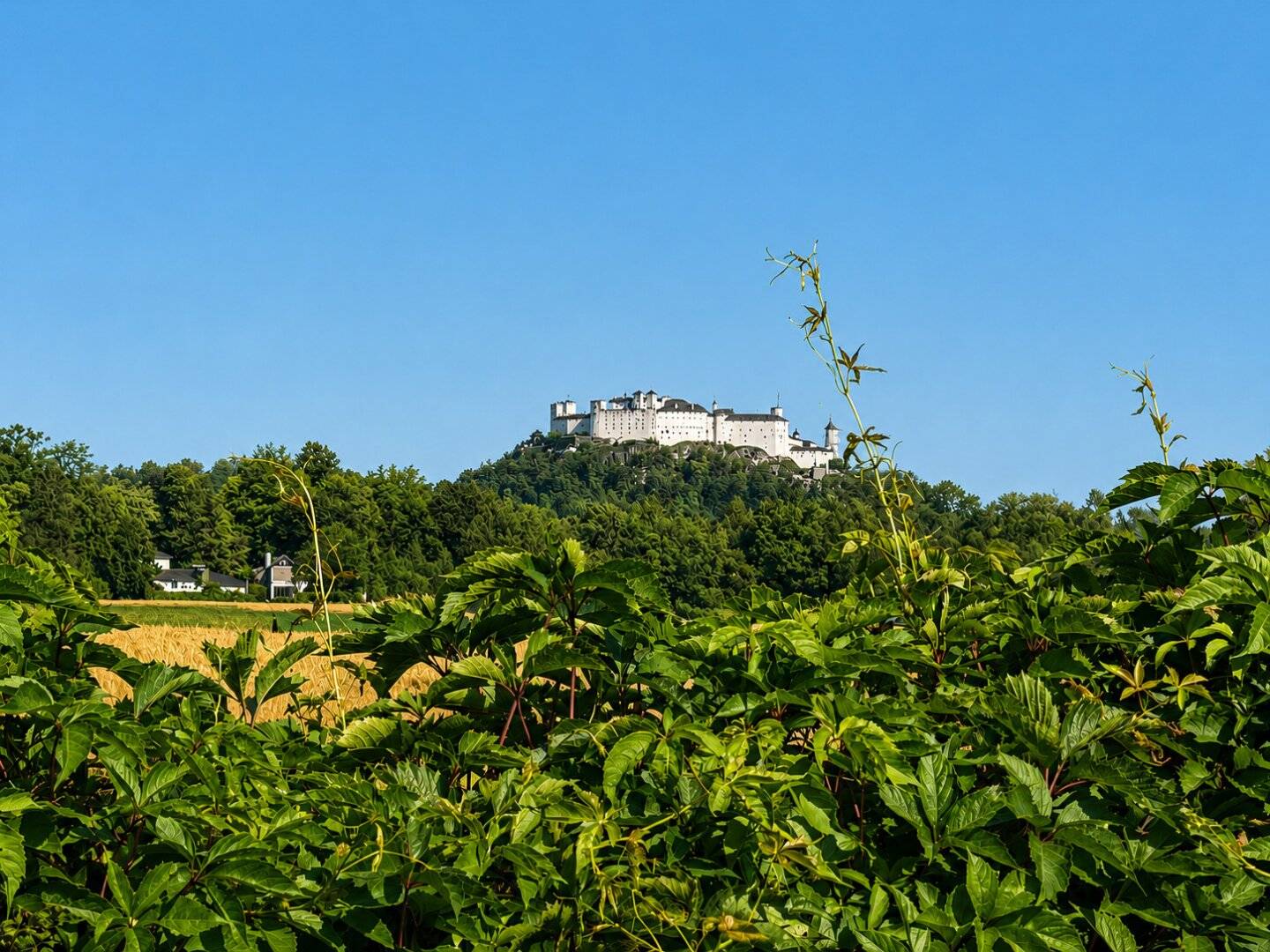 Hellbrunner Allee: Dreamlike Plot in Idyllic Green Setting with Fortress View