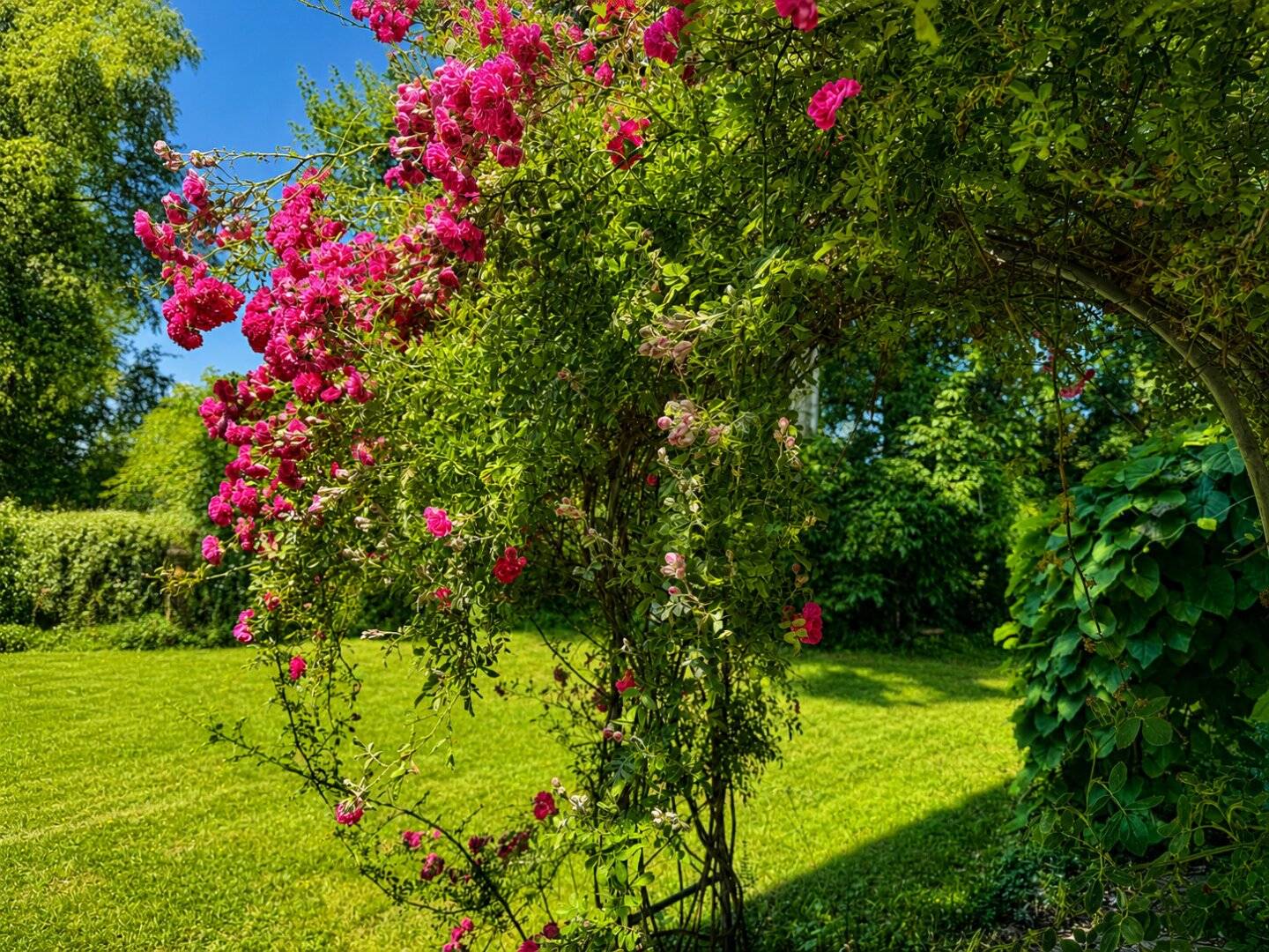 Salzburg - Gneis: Dreamlike single-family house on Grünland