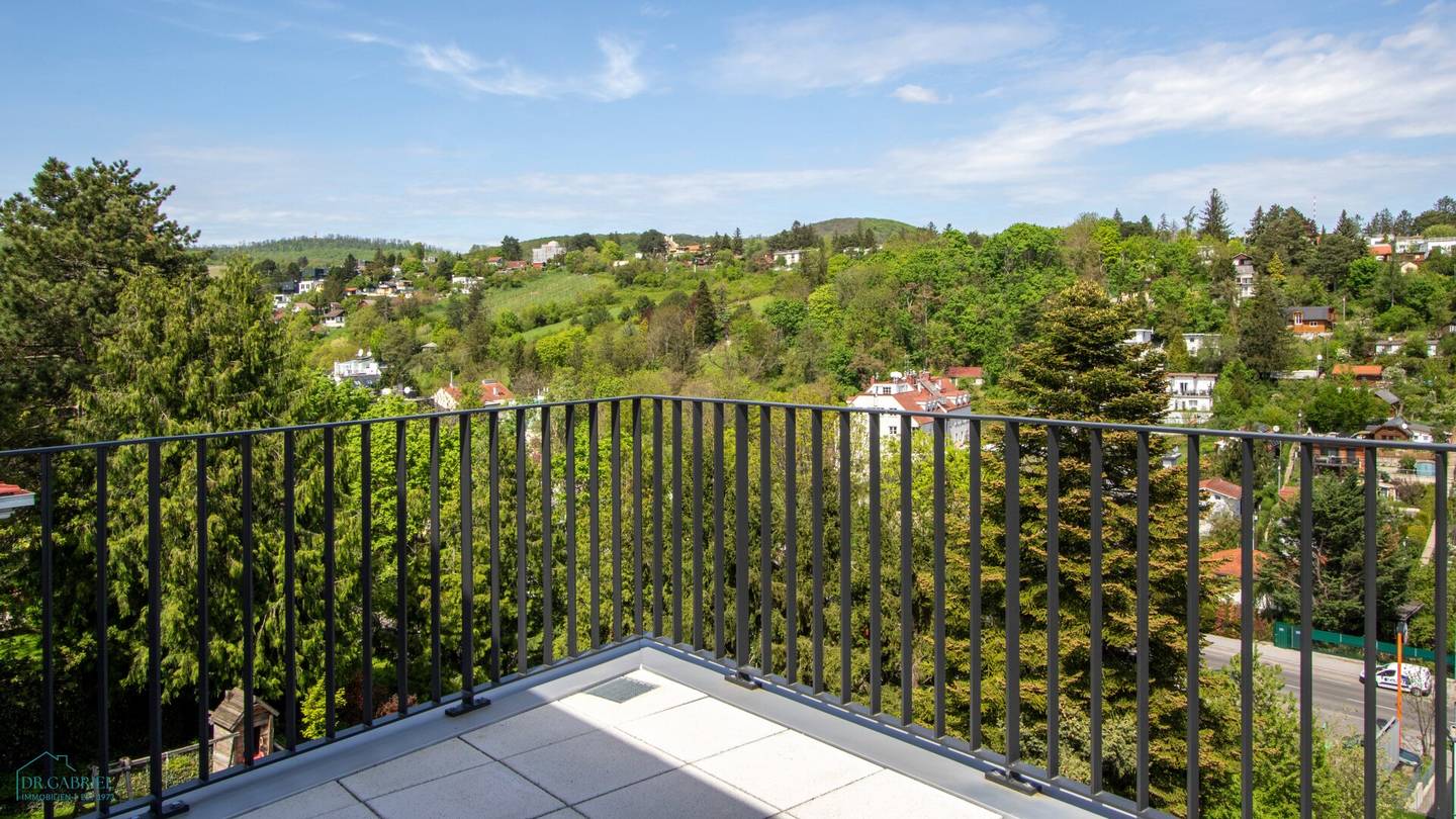 Fernblick