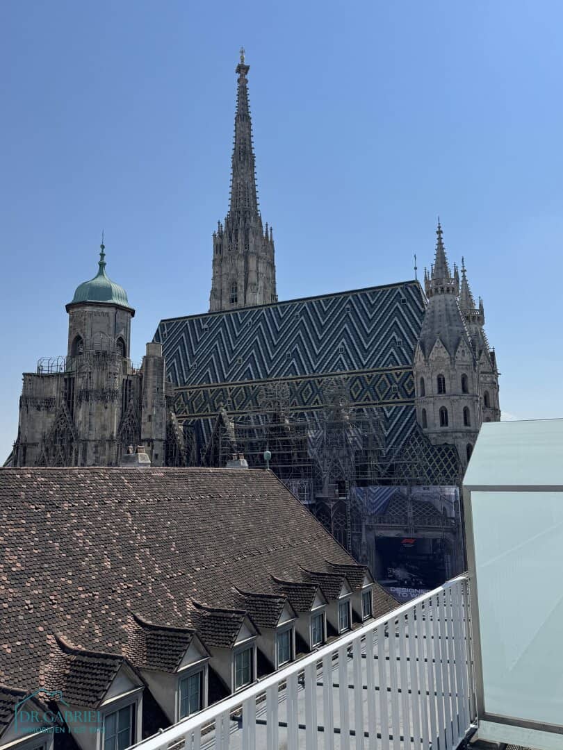 Perfectly furnished terrace apartment at Stephansplatz