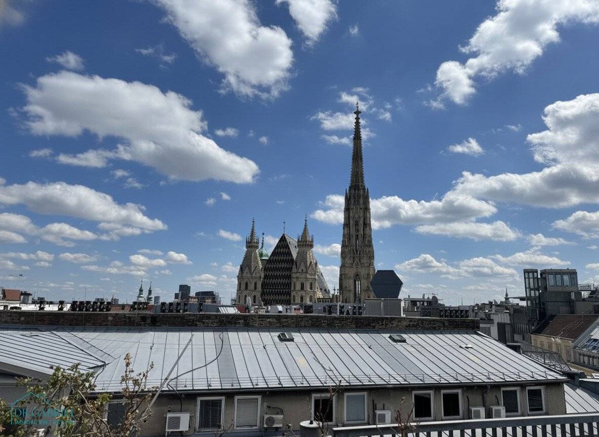 EXCLUSIVE ROOFTOP TERRACE APARTMENT