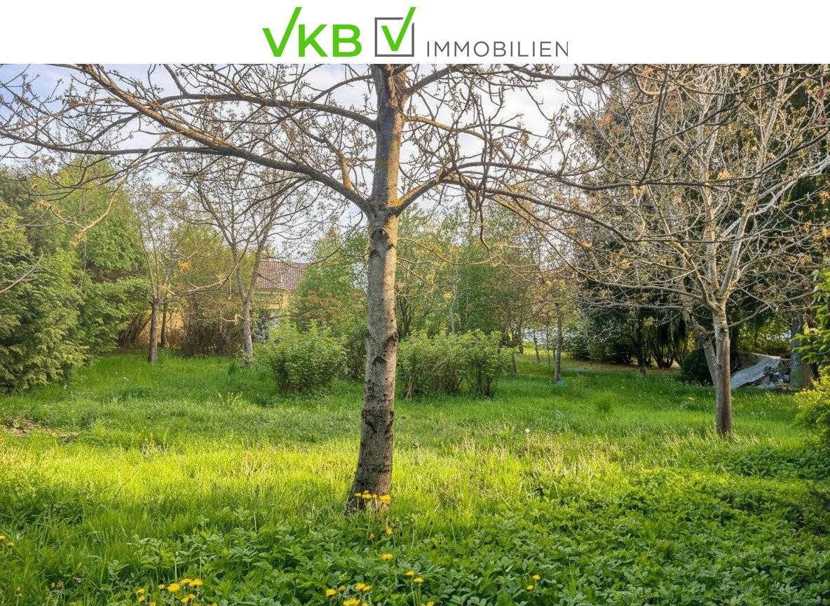 Großzügiges Grundstück guter Lage nähe Gallneukirchen! – Gemeinde Alberndorf in der Riedmark (GST 2438/3)