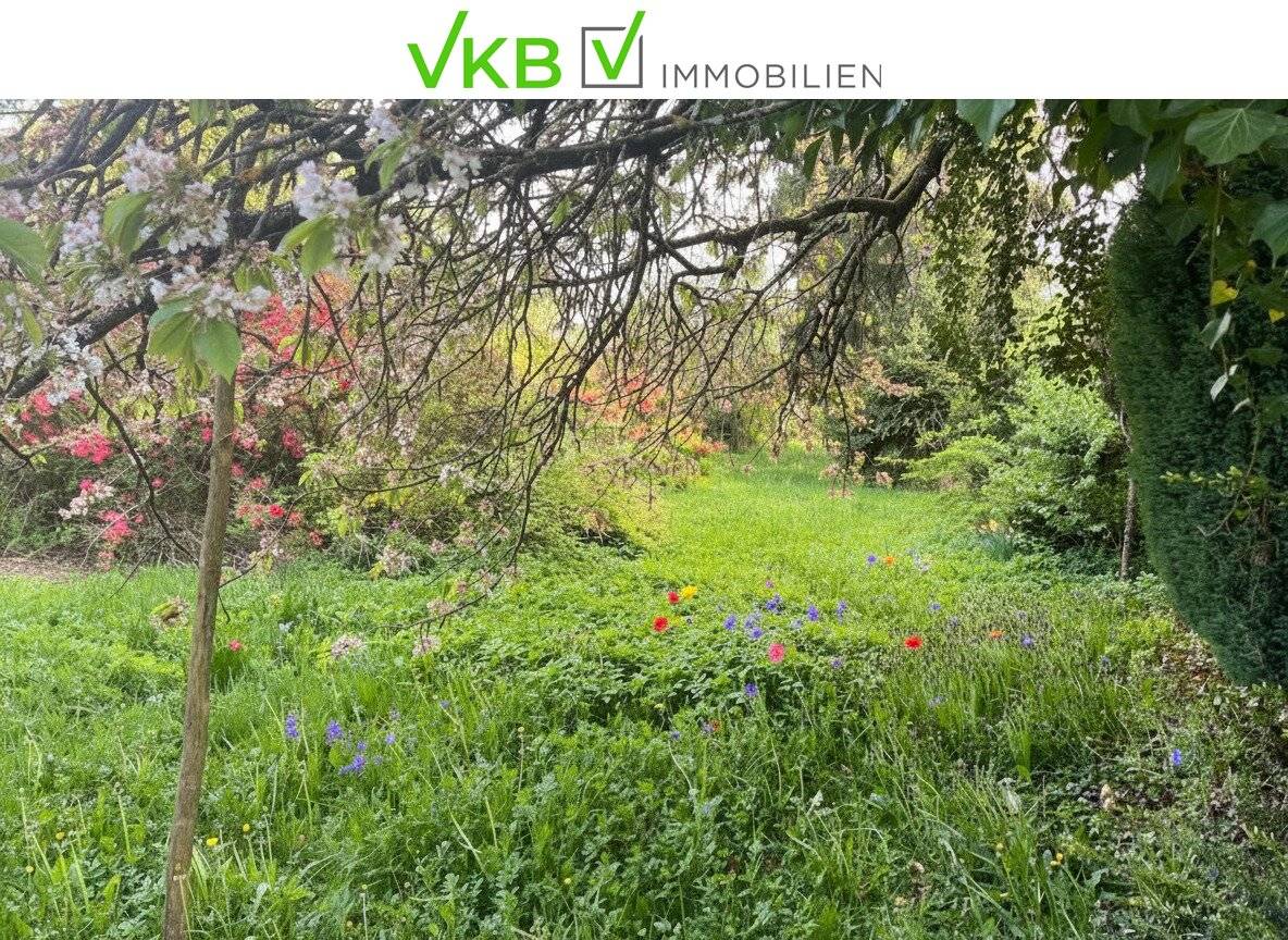 Großzügiges Grundstück guter Lage nähe Gallneukirchen! – Gemeinde Alberndorf in der Riedmark (GST 2438/3)