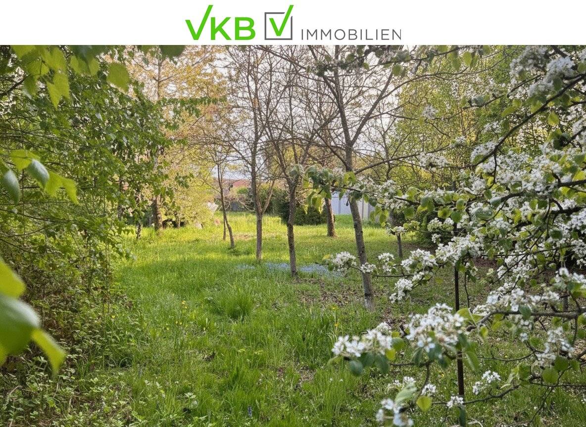 Großzügiges Grundstück nähe Gallneukirchen! - Gemeinde Alberndorf in der Riedmark (GST  2443/1)